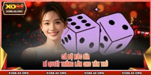 Cá Độ Xóc Đĩa - Bí Quyết Thắng Lớn Cho Tân Thủ