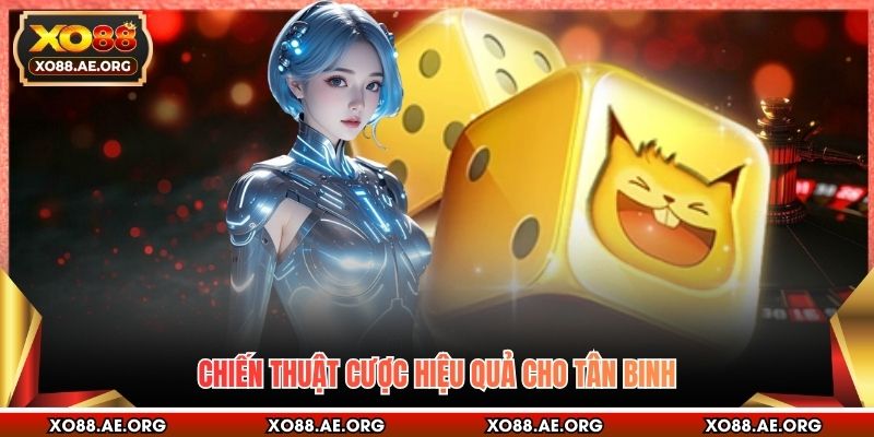 Chiến thuật cược hiệu quả cho tân binh