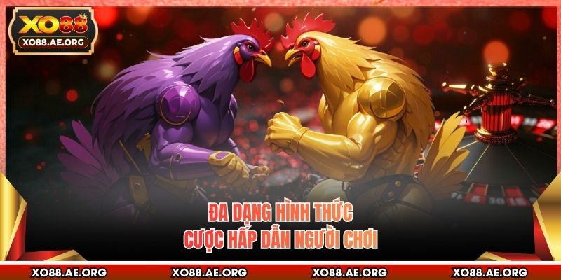 Đa dạng hình thức cược hấp dẫn người chơi