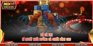 Đá Gà Tre - Bí Quyết Nuôi Dưỡng Gà Chiến Đỉnh Cao