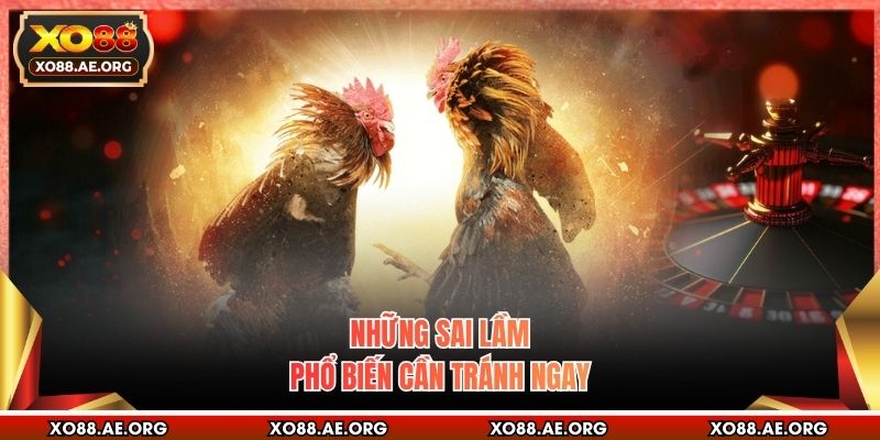 Những sai lầm phổ biến cần tránh ngay