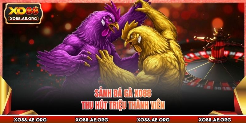Sảnh đá gà XO88 thu hút triệu thành viên